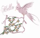 Hello