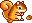 squirel