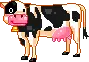cow