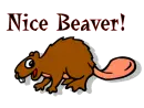 Nice Beaver