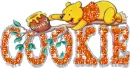 cookie winnie orange