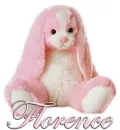 FLOPPY: FLORENCE