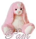 FLOPPY: PAM
