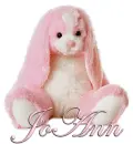FLOPPY: JOANN