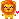 cute lion