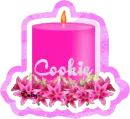 Cookie
