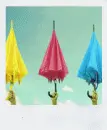 umbrellas