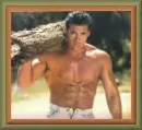 Lumber Jack
