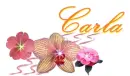 carla