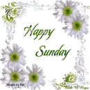 Happy Sunday