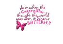 butterfly