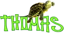 Thomas Turtle