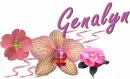 Genalyn