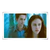 Twilight Saga