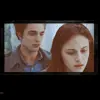 Twilight Saga