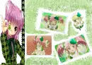Amulet Clover Mix