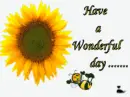 have a wondeful day!