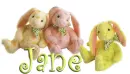 3 BUNNIES: JANE