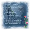 A Rose Beyond the Wall
