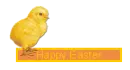 Happy Easter