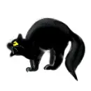 Cat Scary