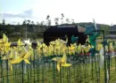 pinwheel 
