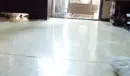 cute
