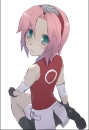 sakura