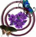 fly