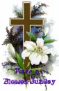 Blessed Sunday