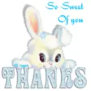 Bunny Thanks