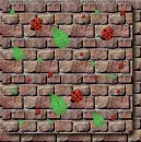 Wall