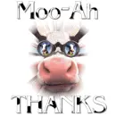  Mooo Thank you