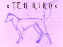 kikos banner