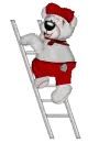 CREDDY BOY BEAR