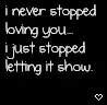 never stopped loving you