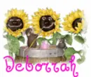 Deborrah