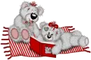 CREDDY BEARS