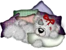 CREDDY BEAR 