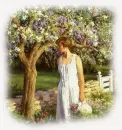 a walk in the garden