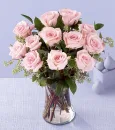 Pink Roses