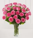 Dark Pink Roses