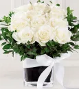 White Roses