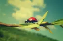 ladybug