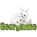 White Bunnies: Georganne