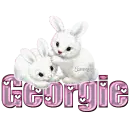 White Bunnies: Georganne