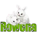 White Bunnies: Rowena