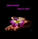 hello