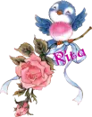 Rita Joyce