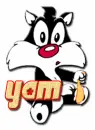Sylvester-Yam